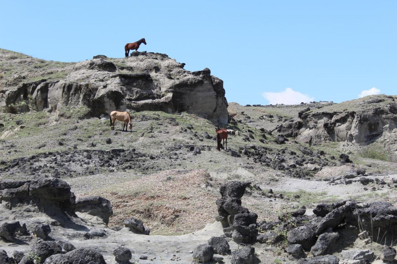 Pachingo Tatacoa Desert La Victoria  Exterior foto